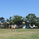 명월초등학교 이미지