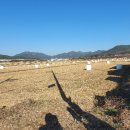 도개면보건지소 이미지