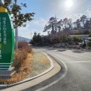 정남진테마숲 이미지