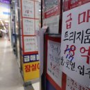 킹공인중개사사무소 이미지
