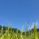 임실중앙요양병원 이미지