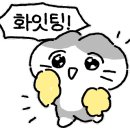 면목비디오 이미지