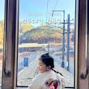 백두프라자 개방화장실 | 백두대간 협곡열차 V-TRAIN (예약, 가격, 열차시간표, 명당자리) 테마 기차여행 총 정리