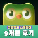 [옥정]쉽게 배우는 스페인어 | 듀오링고 스페인어 9개월 후기 (+말해보카 중단 이유)