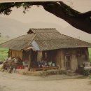 주막집 Daum카페