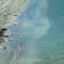 모사금해수욕장 이미지