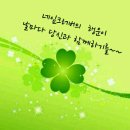 섬별오픈마켓 네이버블로그