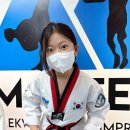 용인대 다정태권도 이미지