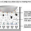 신지동초등학교 이미지