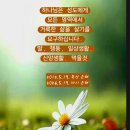매일 영적루틴 셋트 & 고린도전서 5:1-13 묵상노트 & 일상속 영성 스토리