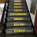 윤병일성형외과의원 네이버블로그