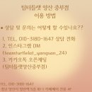 팀터틀랫 중부점 이미지