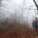 _나루터로2-10 이미지