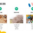 (야간) 도자기 교실 이미지