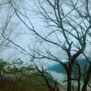 민숙농장 | 180130~31 칭징농장