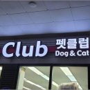 펫클럽강릉내곡점 이미지