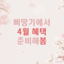 삐땅기의원 이미지