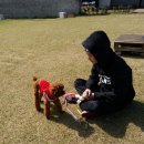 탐나게 이미지