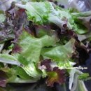 보들농장 이미지