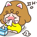 (유)광목 이미지