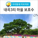 내곡3리노인회관 | [우리동네 이모저모] 마을을 지켜준 내곡3리 마을 보호수