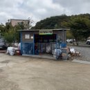 말보로맨 오토캠핑장 | [캠핑] 캐로의 올스타 캠핑 일지 - 궁평항 매향오토캠핑장 후기!