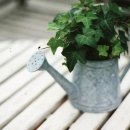 베르네아파트 이미지