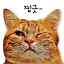유앤동물의료센터 이미지