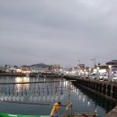 게으른 반달 이미지