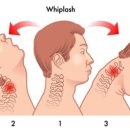 더온한방병원 이미지
