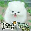 참 이미지