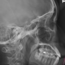 새이치과교정과치과의원 이미지