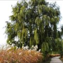 노을공원1 이미지