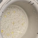 달 밥 | [꿀팁] 저당밥솥 안넘치게 밥하기<광고x> 한달 사용 후기 내돈내산