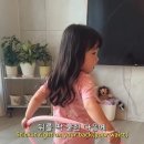 만 5세의 훌라후프 강의ㅋㅋㅋㅋㅋㅋ 이미지
