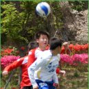 부산진중학교 이미지