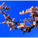 김해건설공업고등학교 이미지