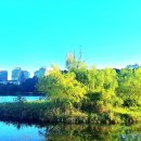 동탄호수공원 이미지