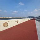 부림 문화광장 및 공영주차장 | 제주 탑동광장 주차 및 낮 산책 해녀 물질과 비행기 구경까지