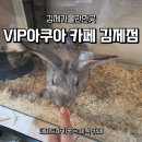 VIP아쿠아카페 | [김제 아이랑 가기 좋은 물고기 카페] 귀여운 동물 친구들이 가득한 'VIP아쿠아 카페 김제점' 힐링 후기