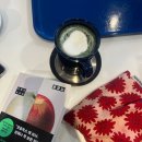 화랑로 R | 26.2.25~2.27 경주에 간 소녀들