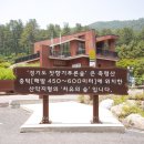 잣나무 숲 이미지