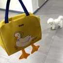 연두네놀이터 | 구리 강아지 답례품ㅣ강아지 생일기념품ㅣ구리 연두네놀이터ㅣ구리 강아지수제간식ㅣ비숑 유치원 생활 후기