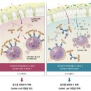 주식회사 지아이글로벌 이미지