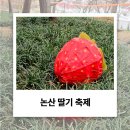 금실어린이공원 | 논산 딸기 축제 2025 다녀왔어요! 현장 분위기부터 주차 팁까지!
