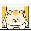 어쩌다횟집 이미지