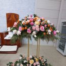 남악농장2 이미지