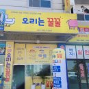 오리는꿀꿀