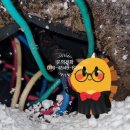 무지개전기조명 이미지