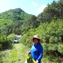 솔치농장 이미지